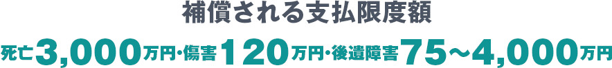 補償される支払限度額
死亡3,000万円・傷害120万円・後遺障害75〜4,000万円
